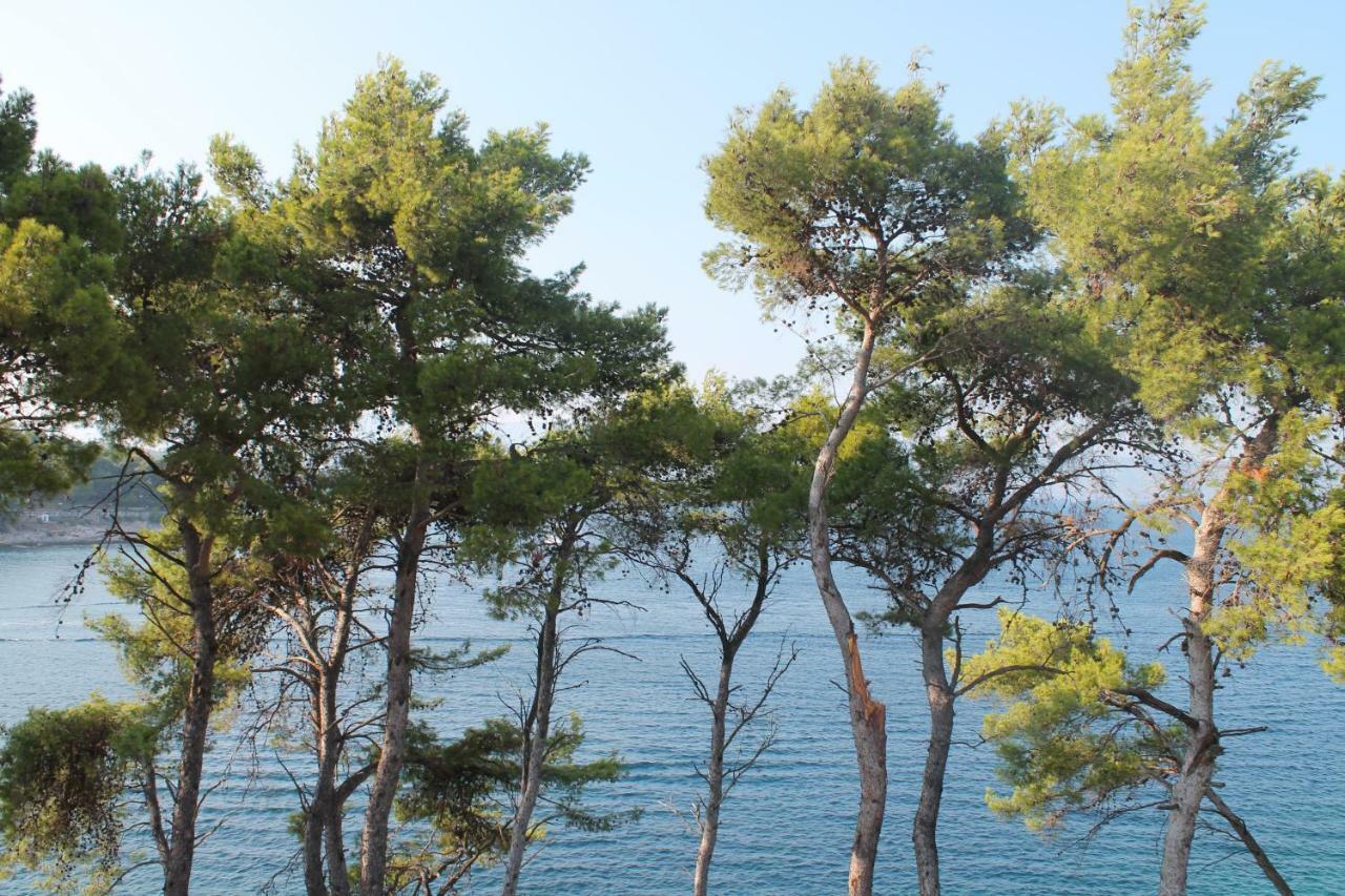 Covahouse Jelsa (Hvar)
